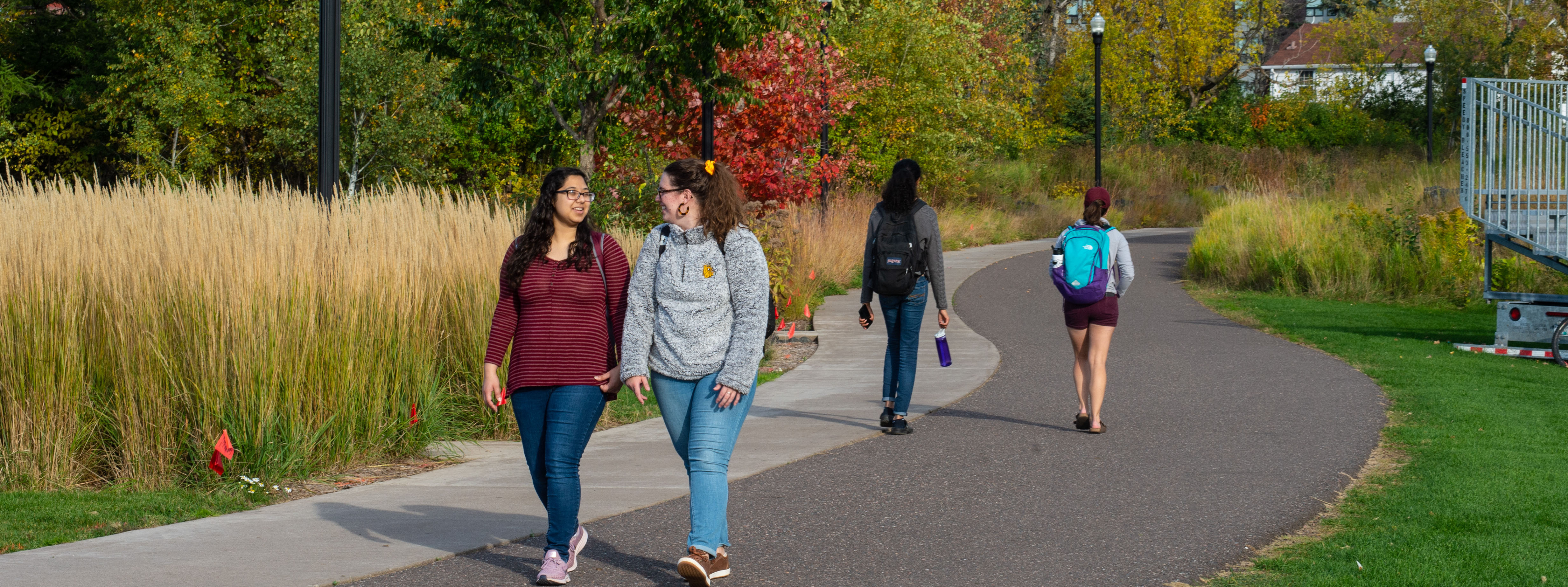 Two students walk towards the camera and two students walk away from the camera on an asphalt path with green grass and tall grass on either side on the UMD campus.